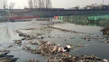 1595388847434793.jpg 鶴崗4.jpg